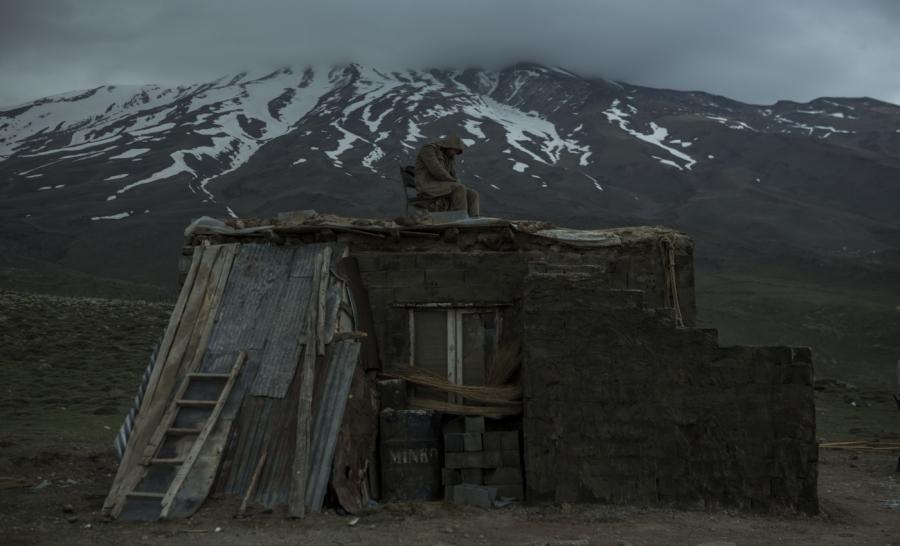 اینجا کسی نمی میرد